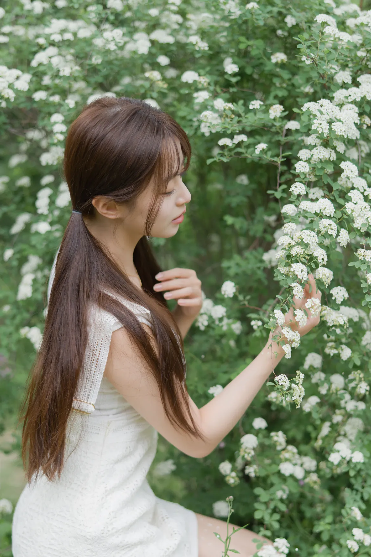 蔷薇小可爱