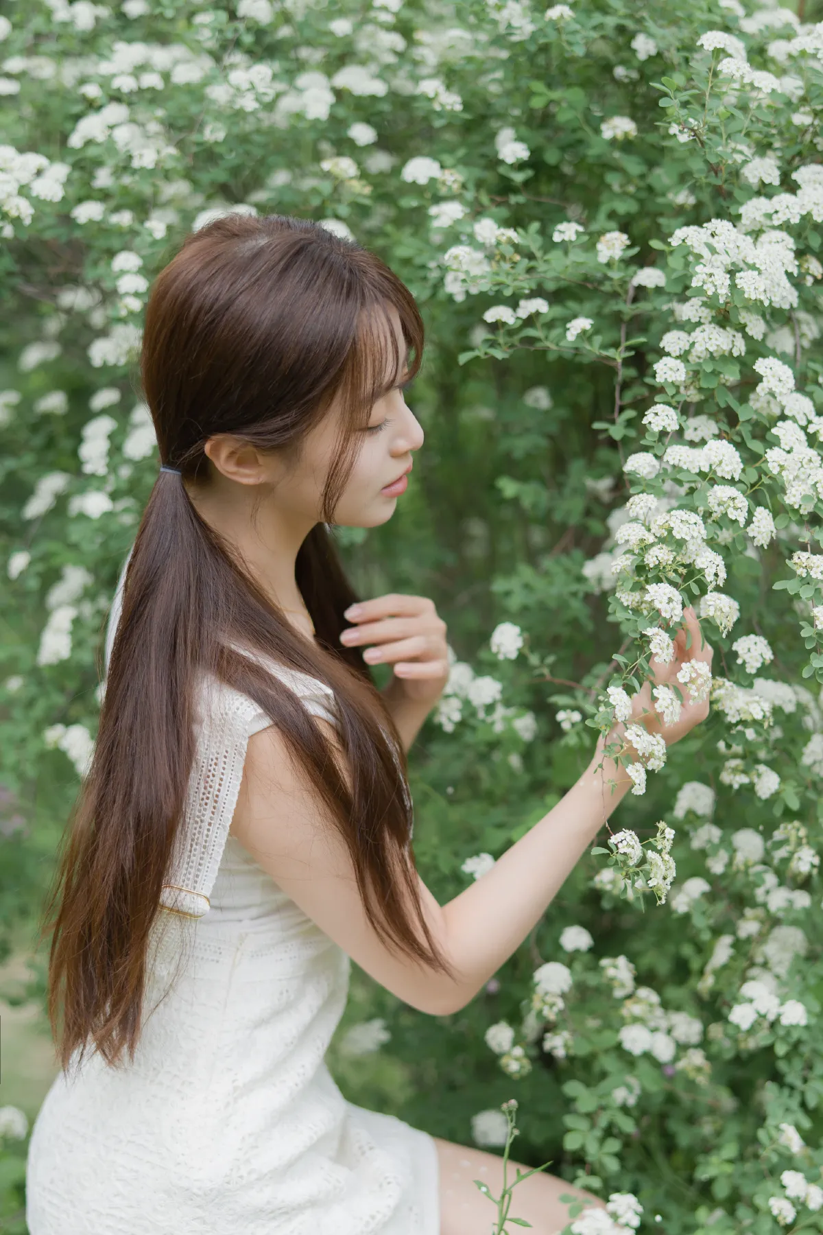 蔷薇小可爱5