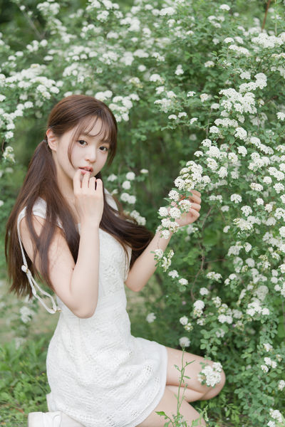 蔷薇小可爱