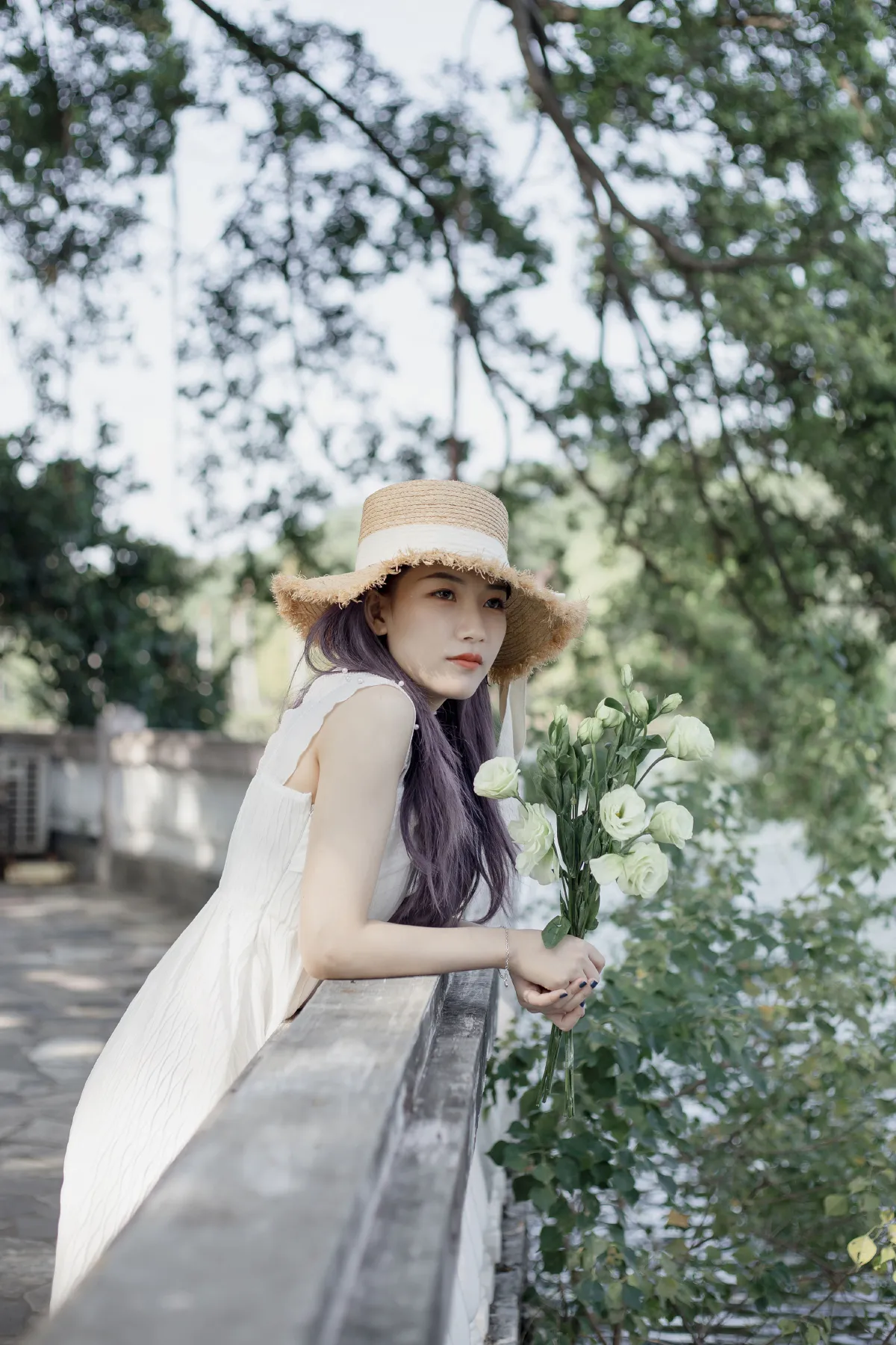 清风淡花香