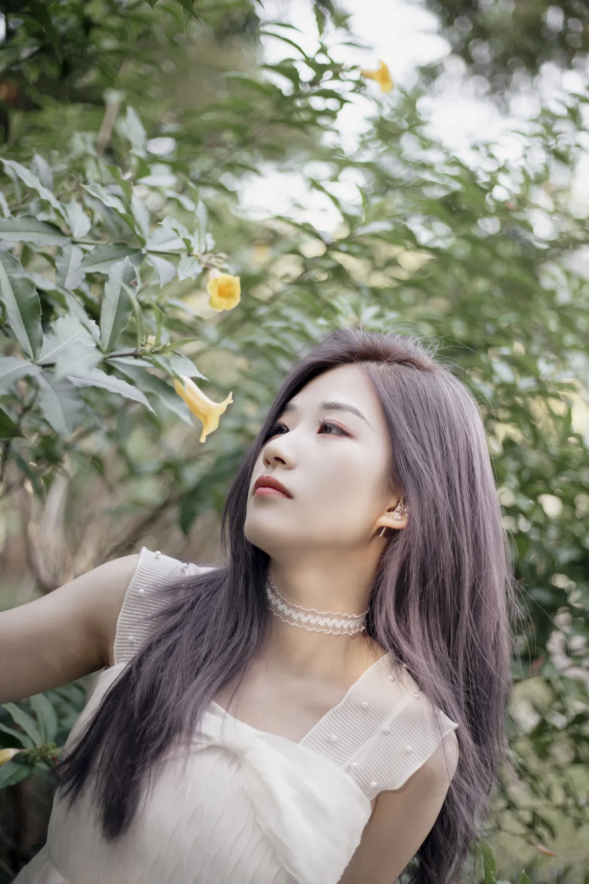 清风淡花香3