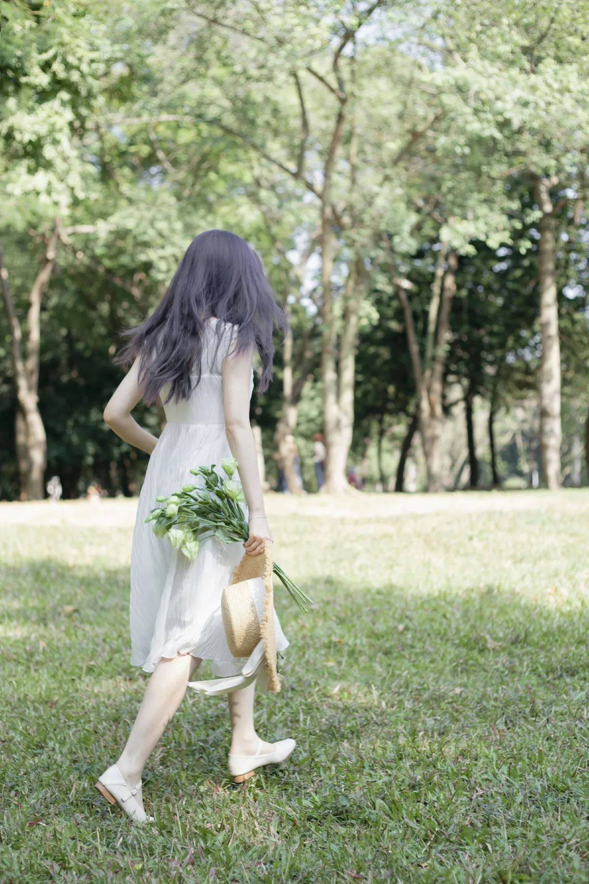 清风淡花香