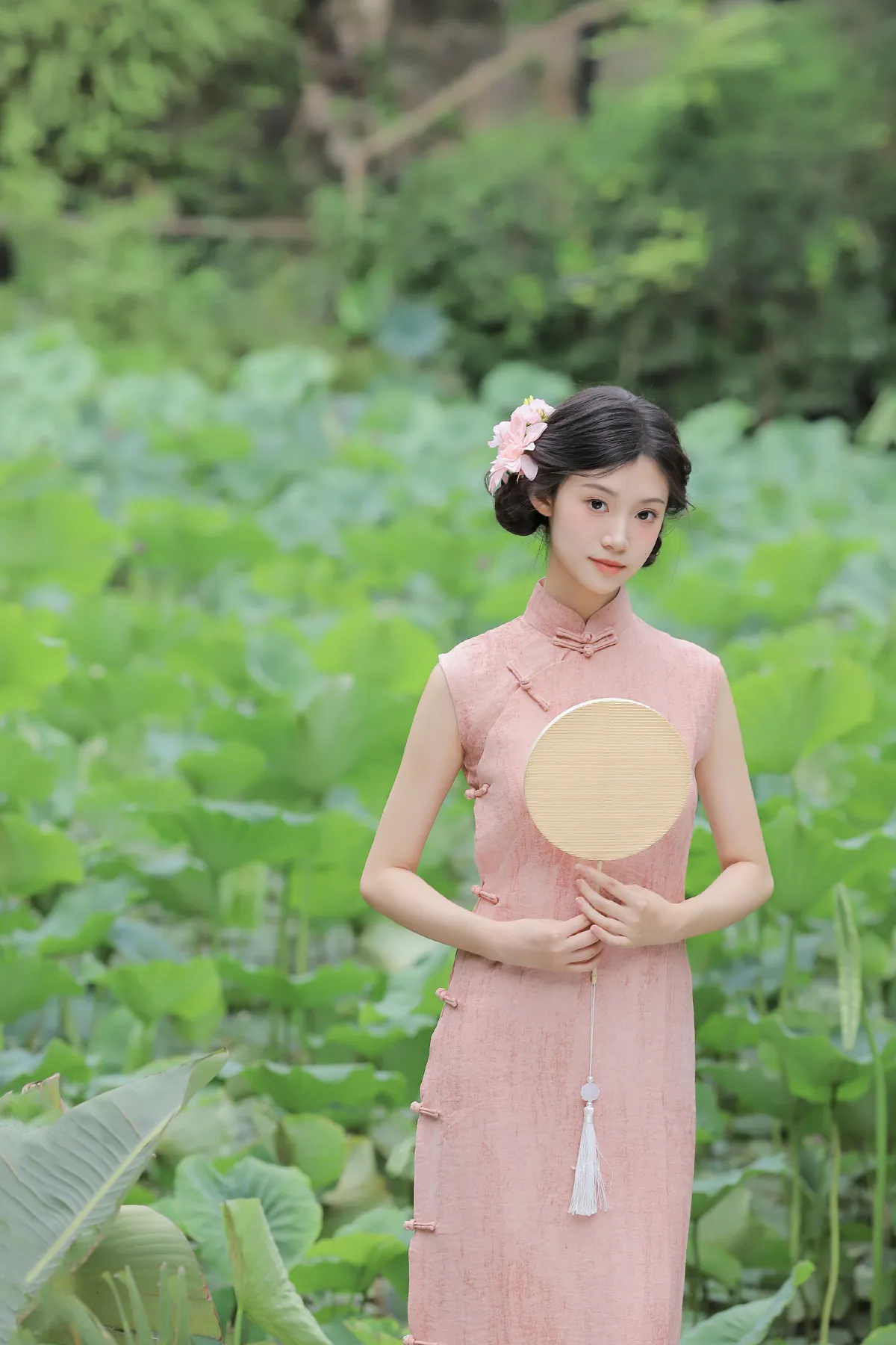 误入藕花深处1