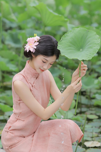 误入藕花深处