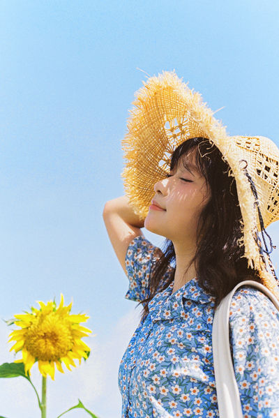 向日葵的花语
