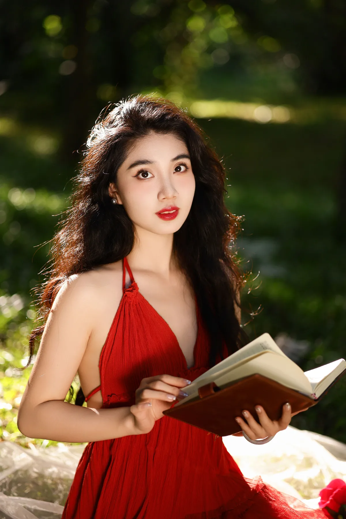 盛夏玫瑰4