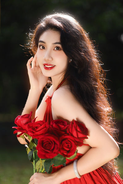 盛夏玫瑰