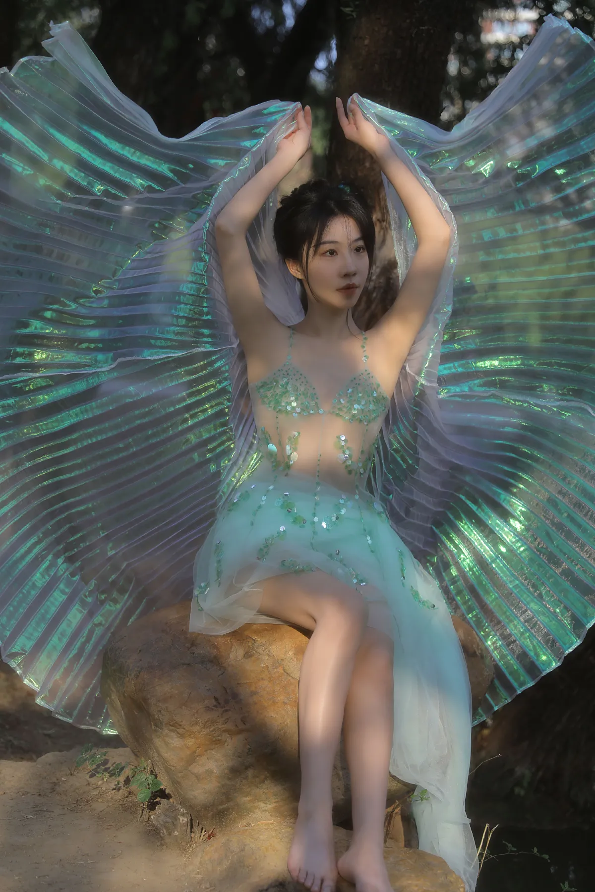 水仙4
