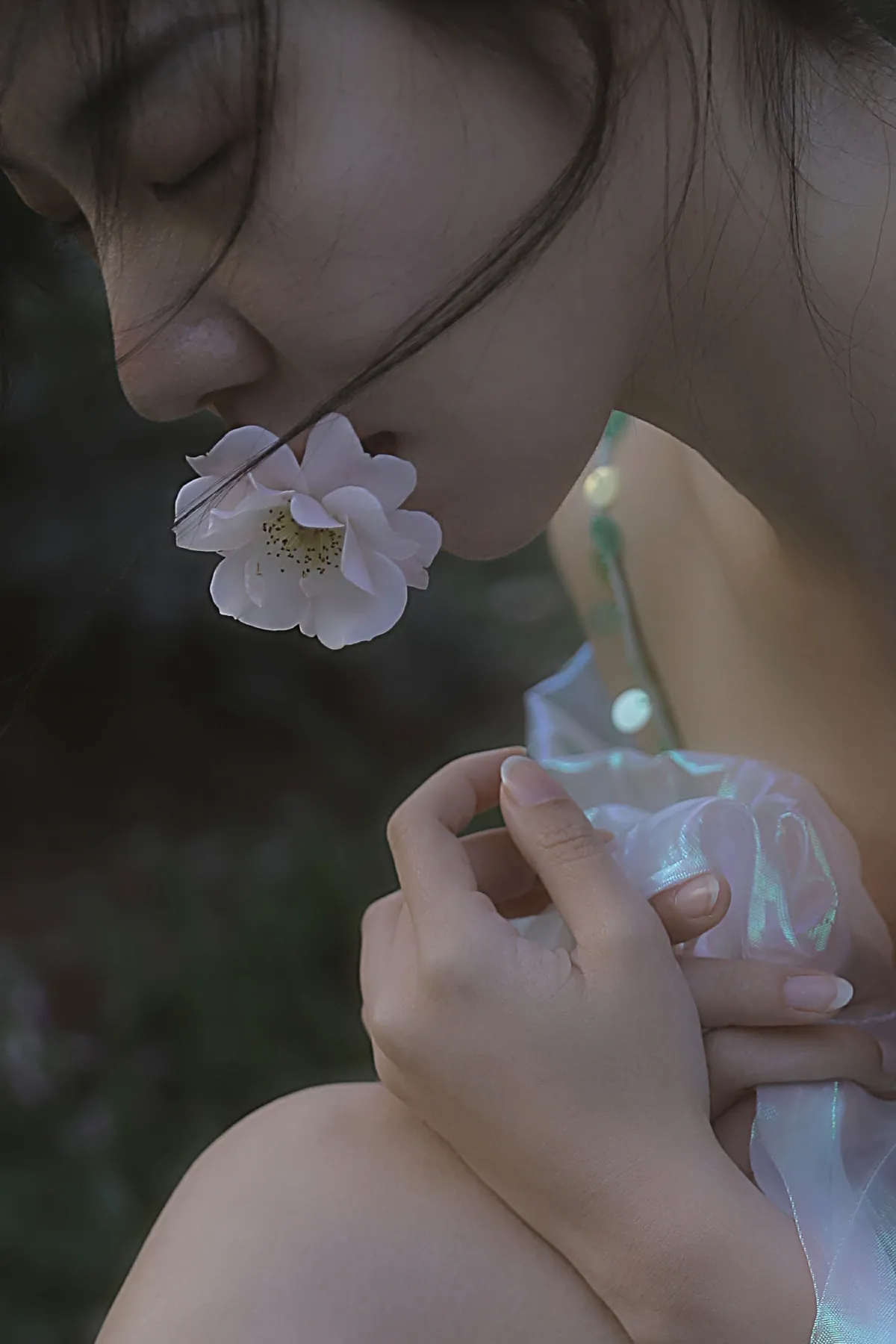 水仙5
