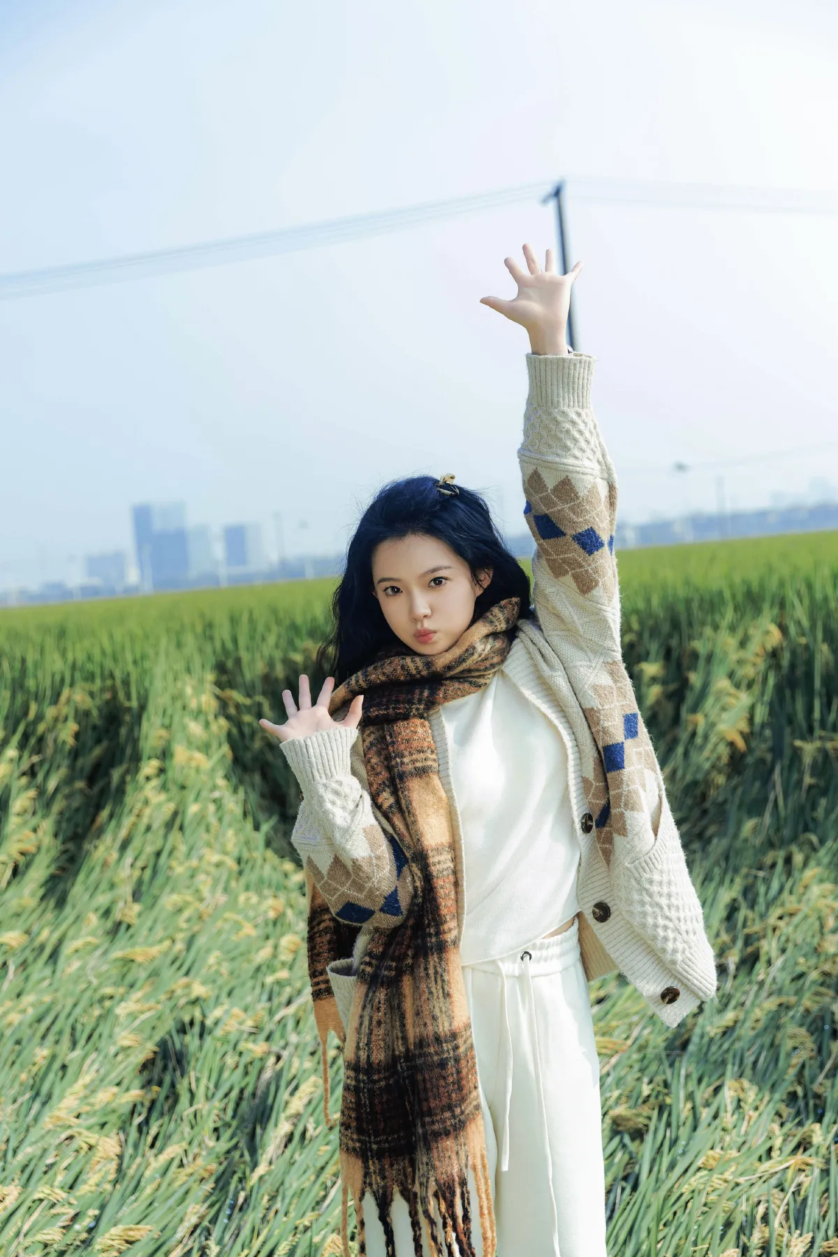 田野里的自由感2