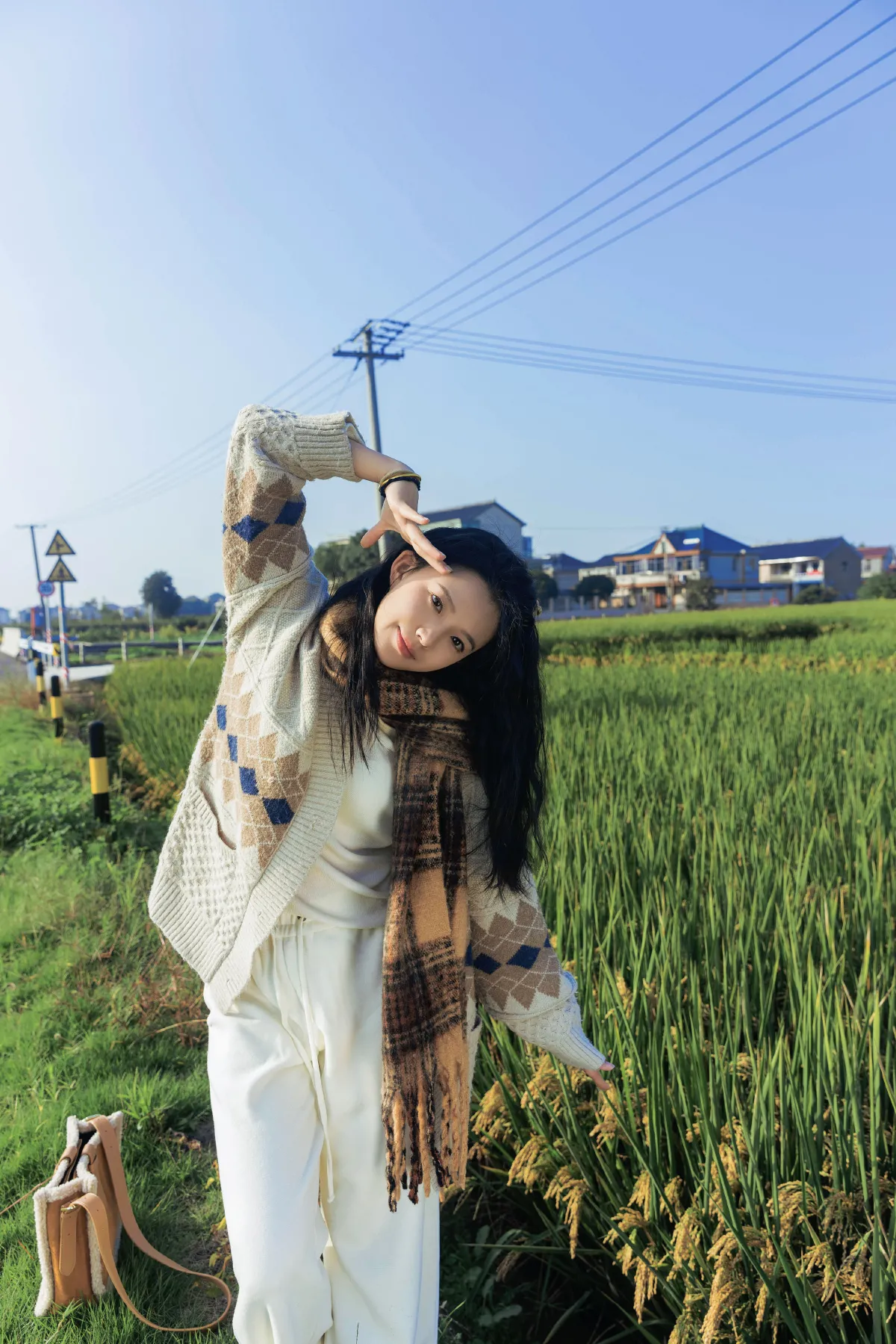 田野里的自由感3