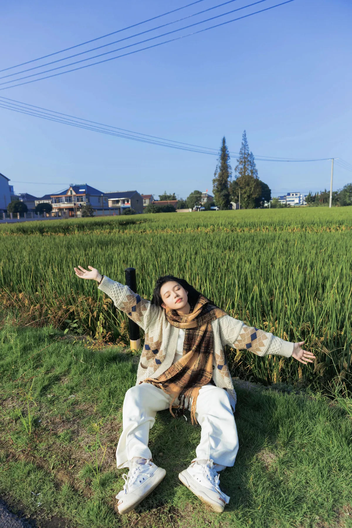 田野里的自由感