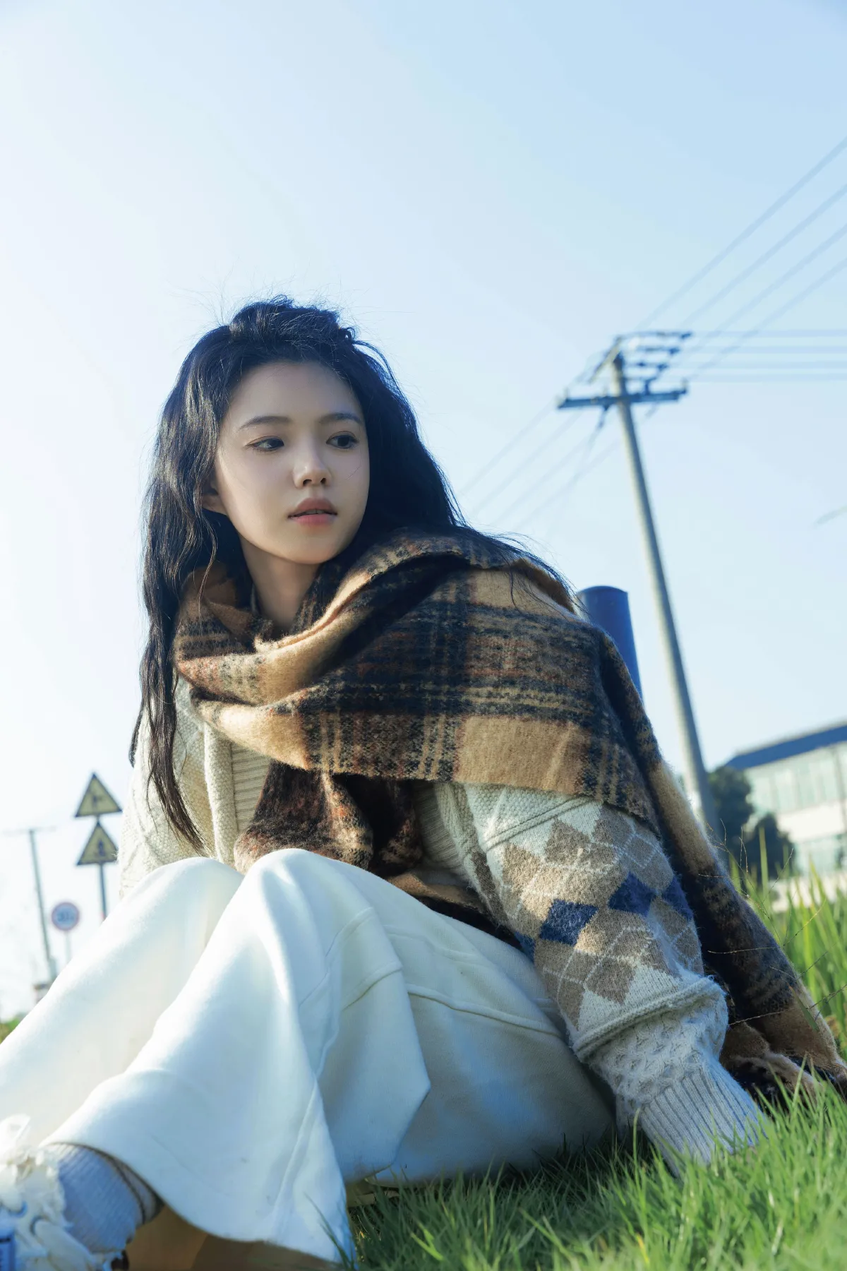 田野里的自由感