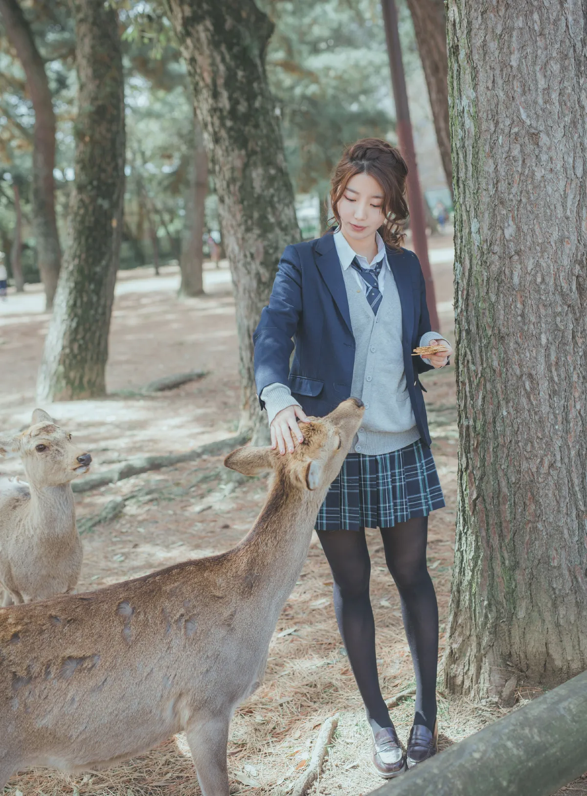 奈良の夏
