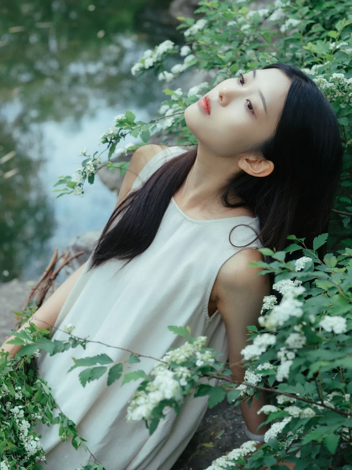 锦簇4