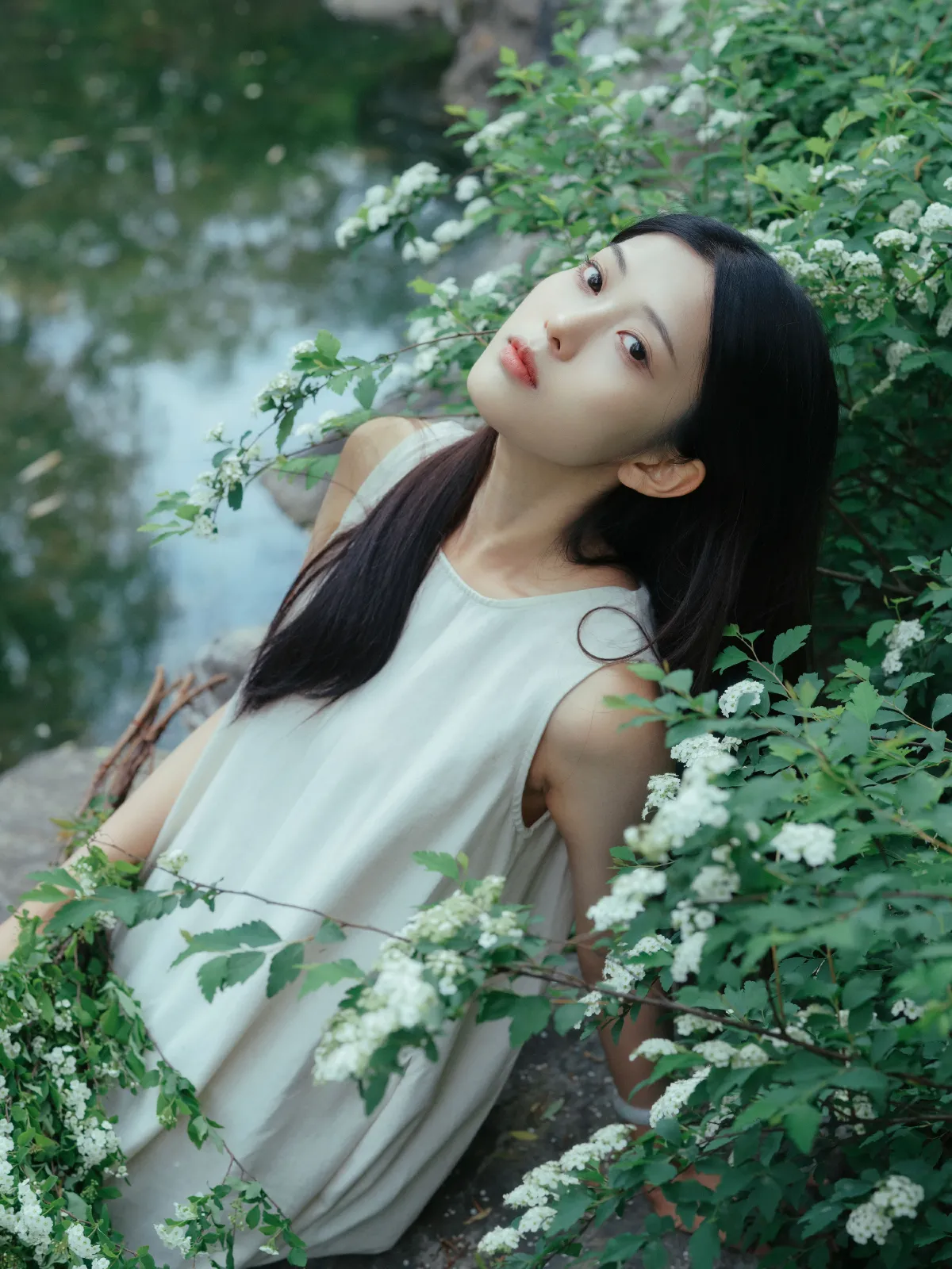 锦簇5