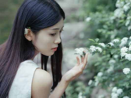 锦簇