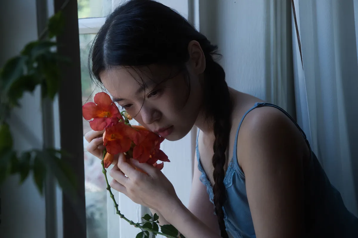 光，海棠花和女孩2