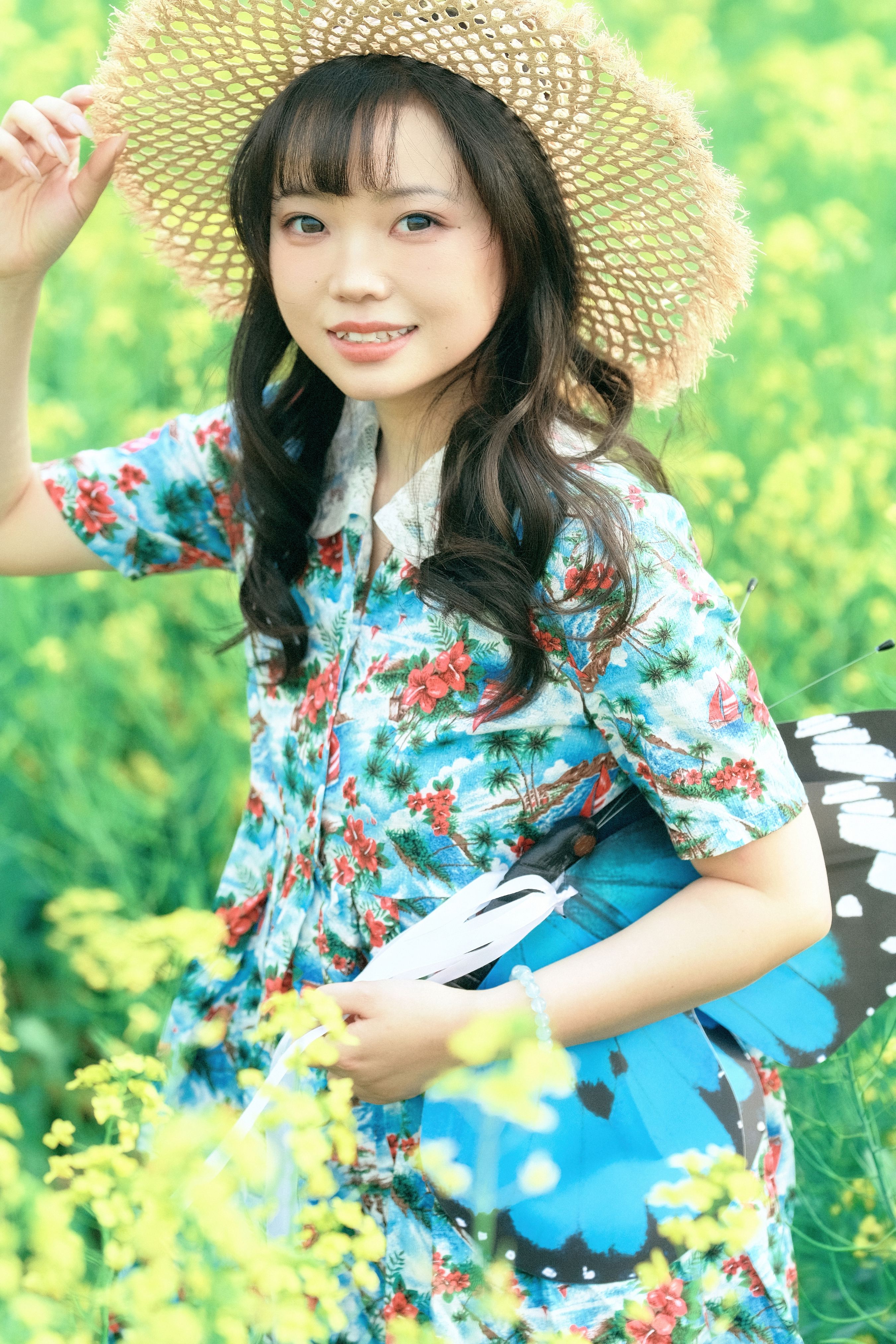 阳光  微风  油菜花1