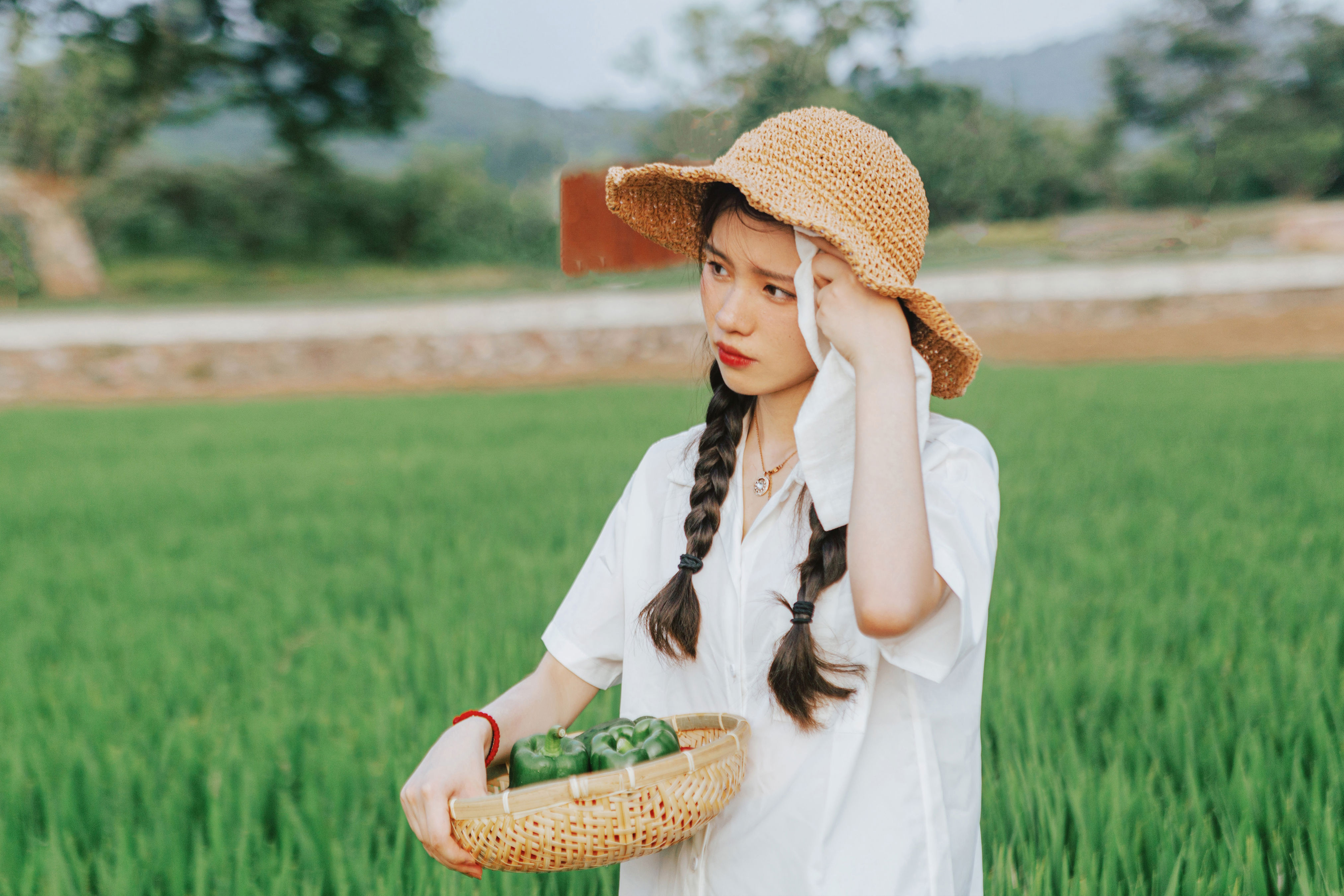小森林·夏秋