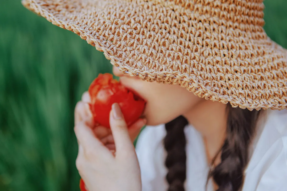 小森林·夏秋