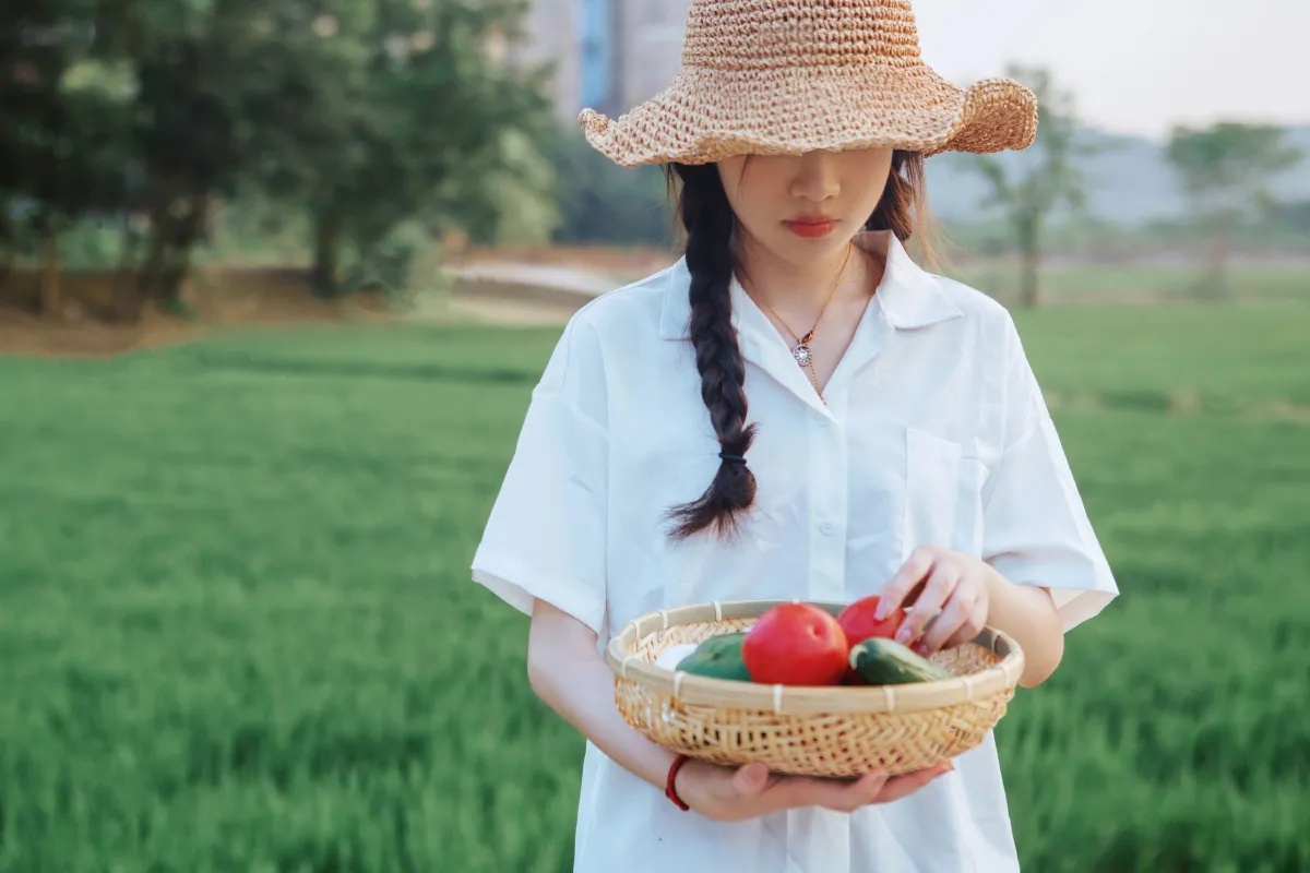 小森林·夏秋