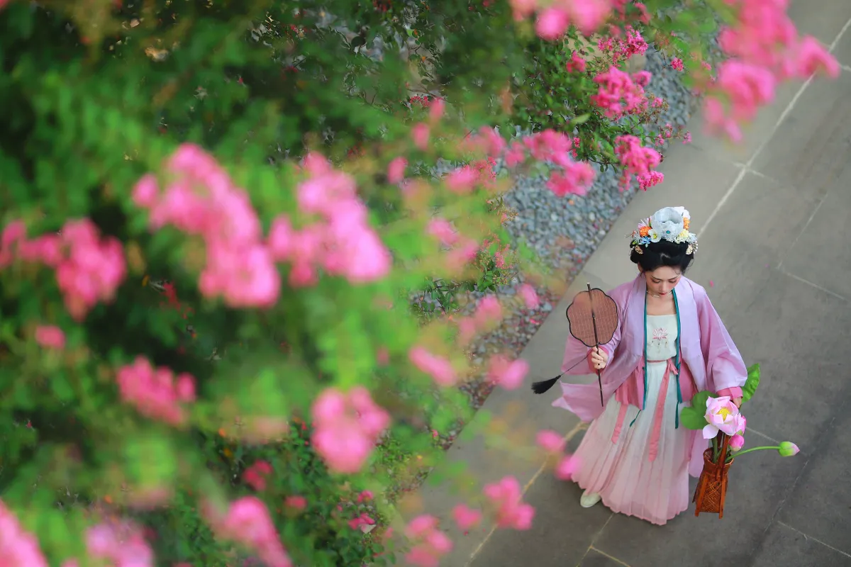 紫薇花开1