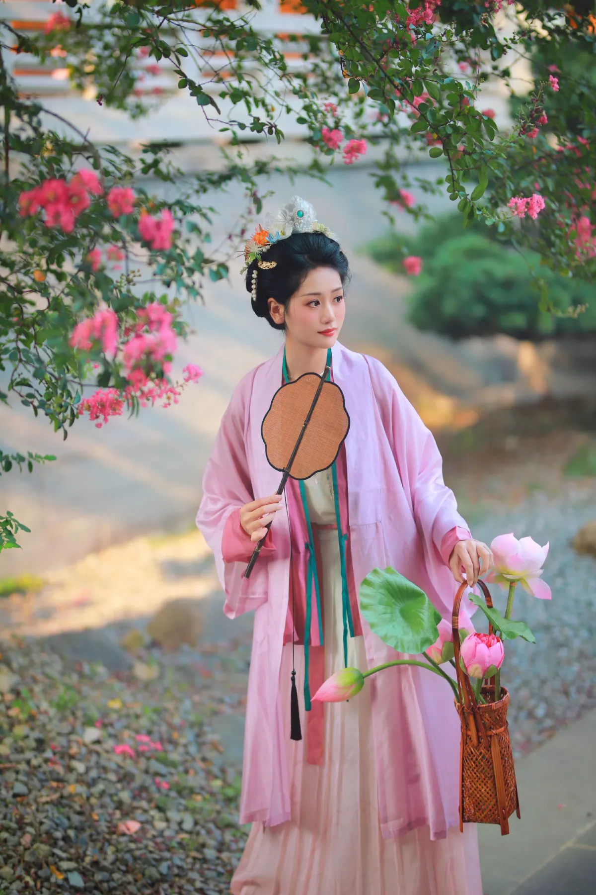 紫薇花开4