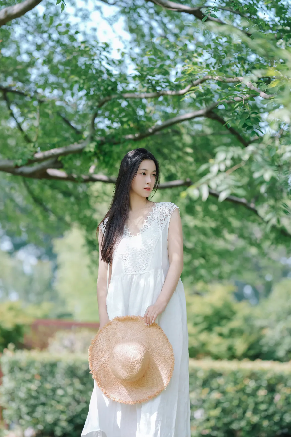纯净夏日1