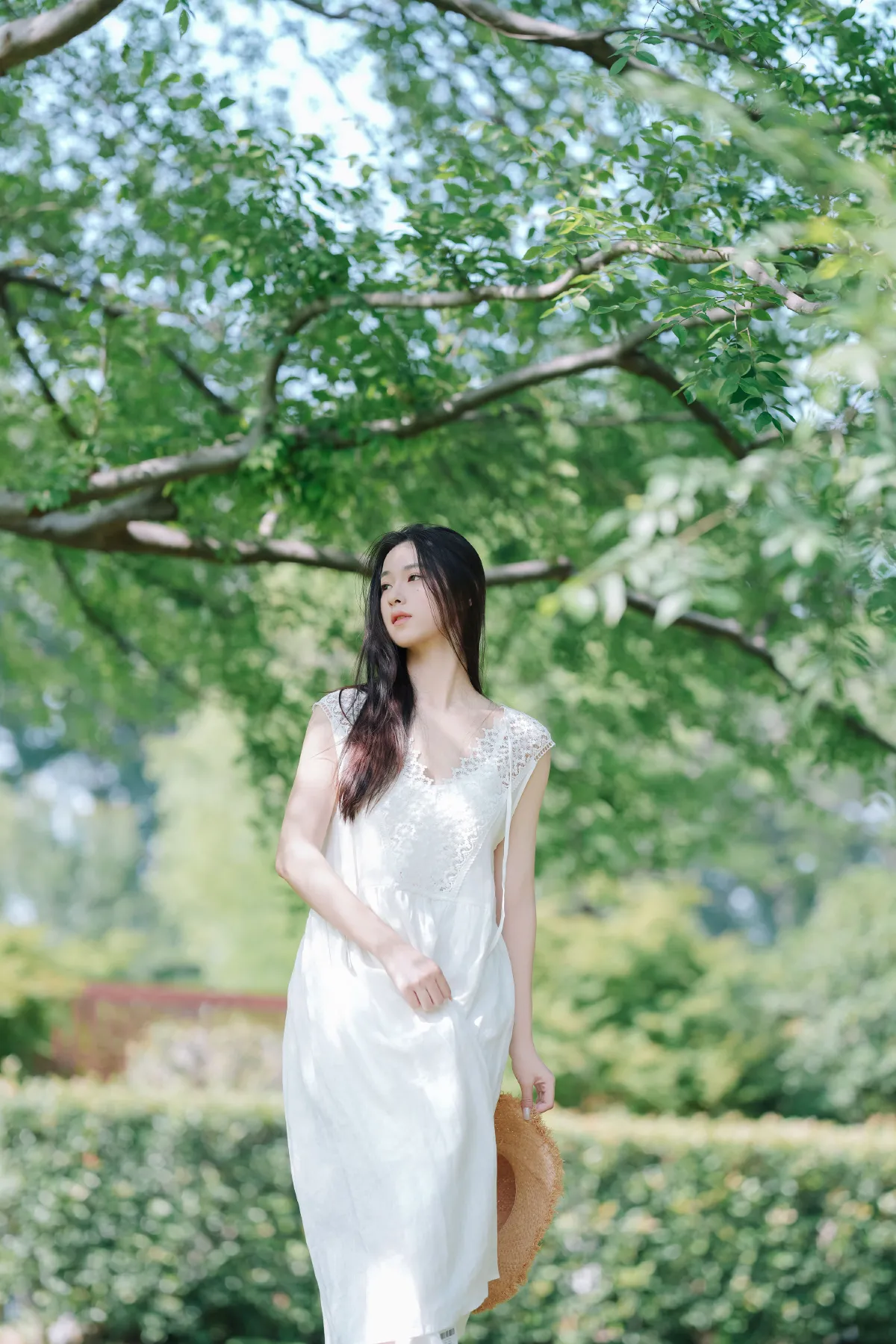 纯净夏日2