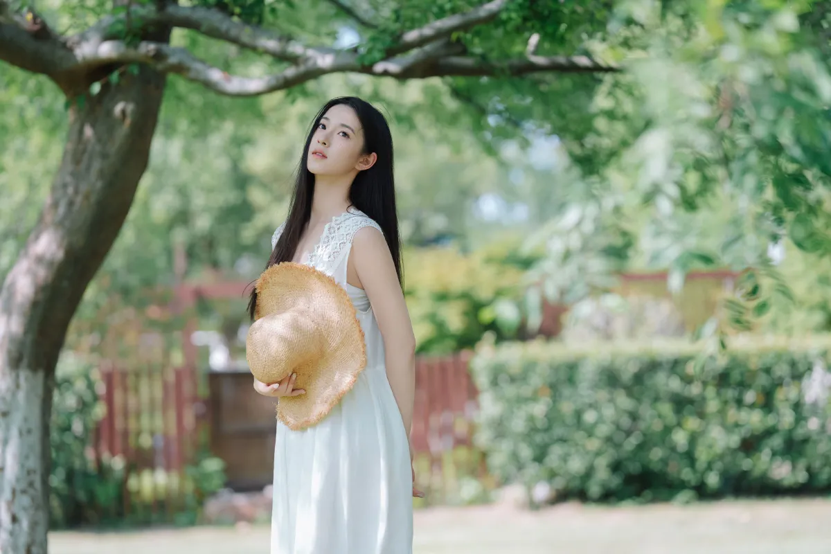 纯净夏日