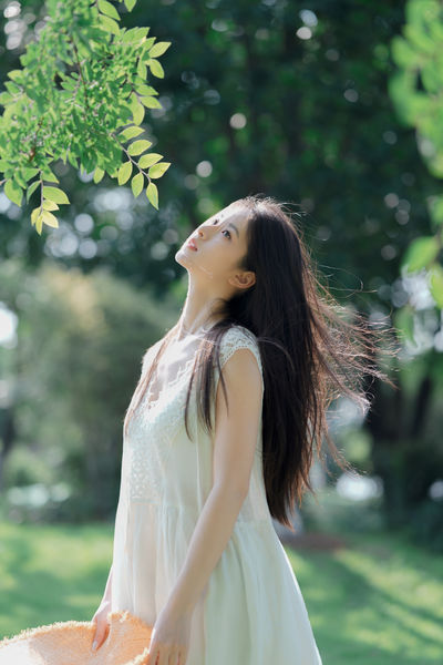 纯净夏日