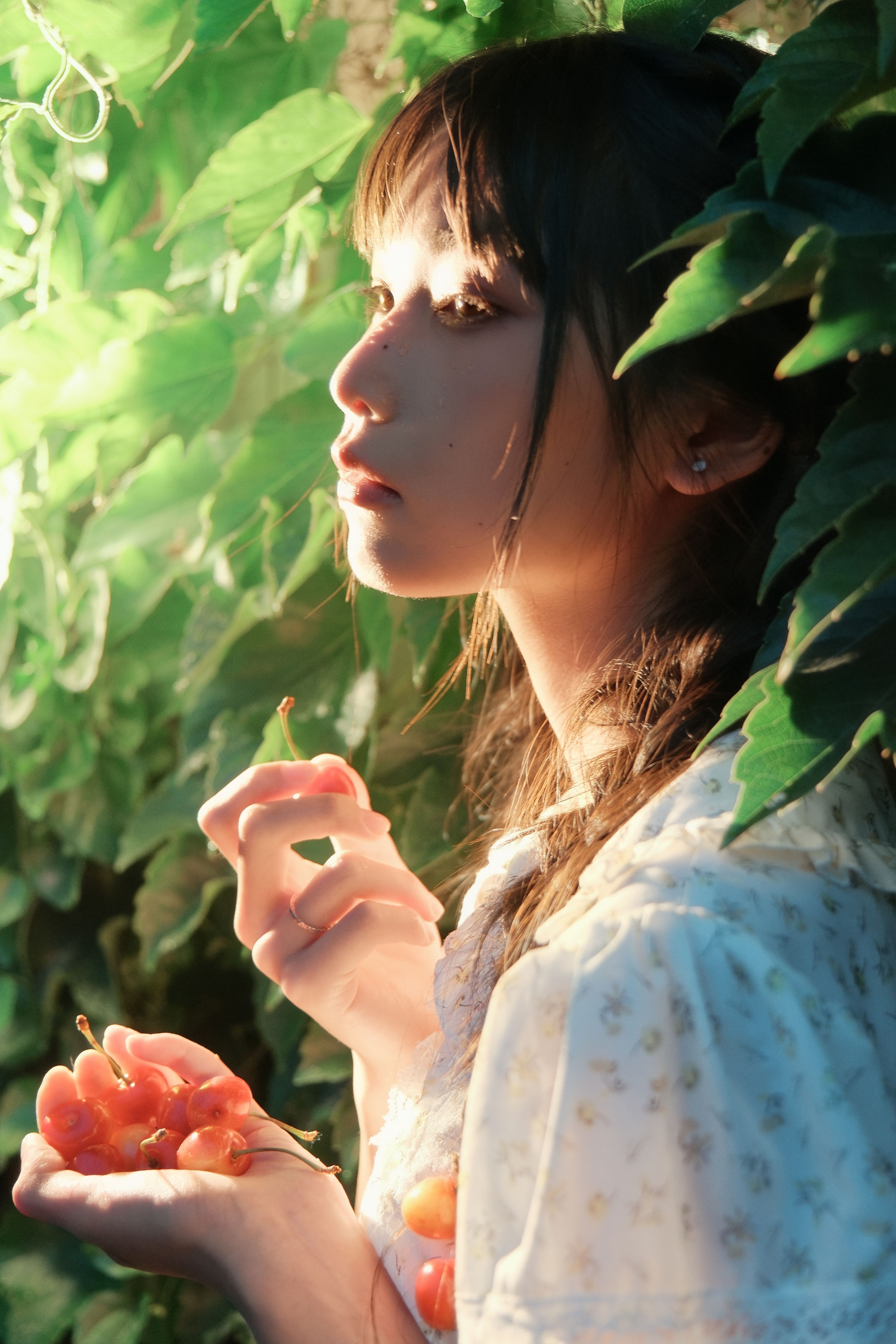 Poor Cherries1