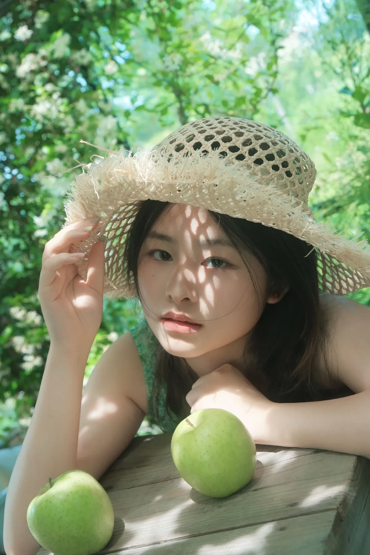 风车茉莉1