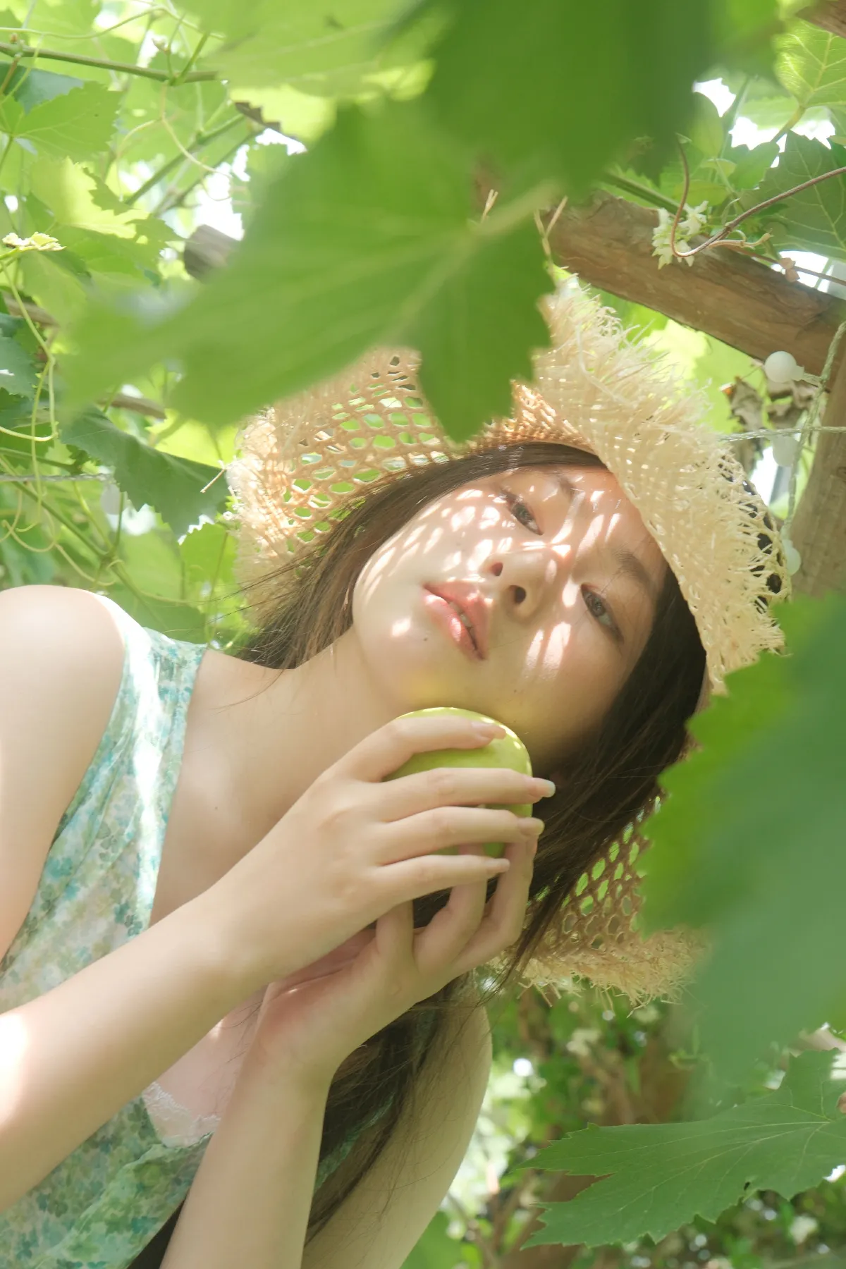 风车茉莉5