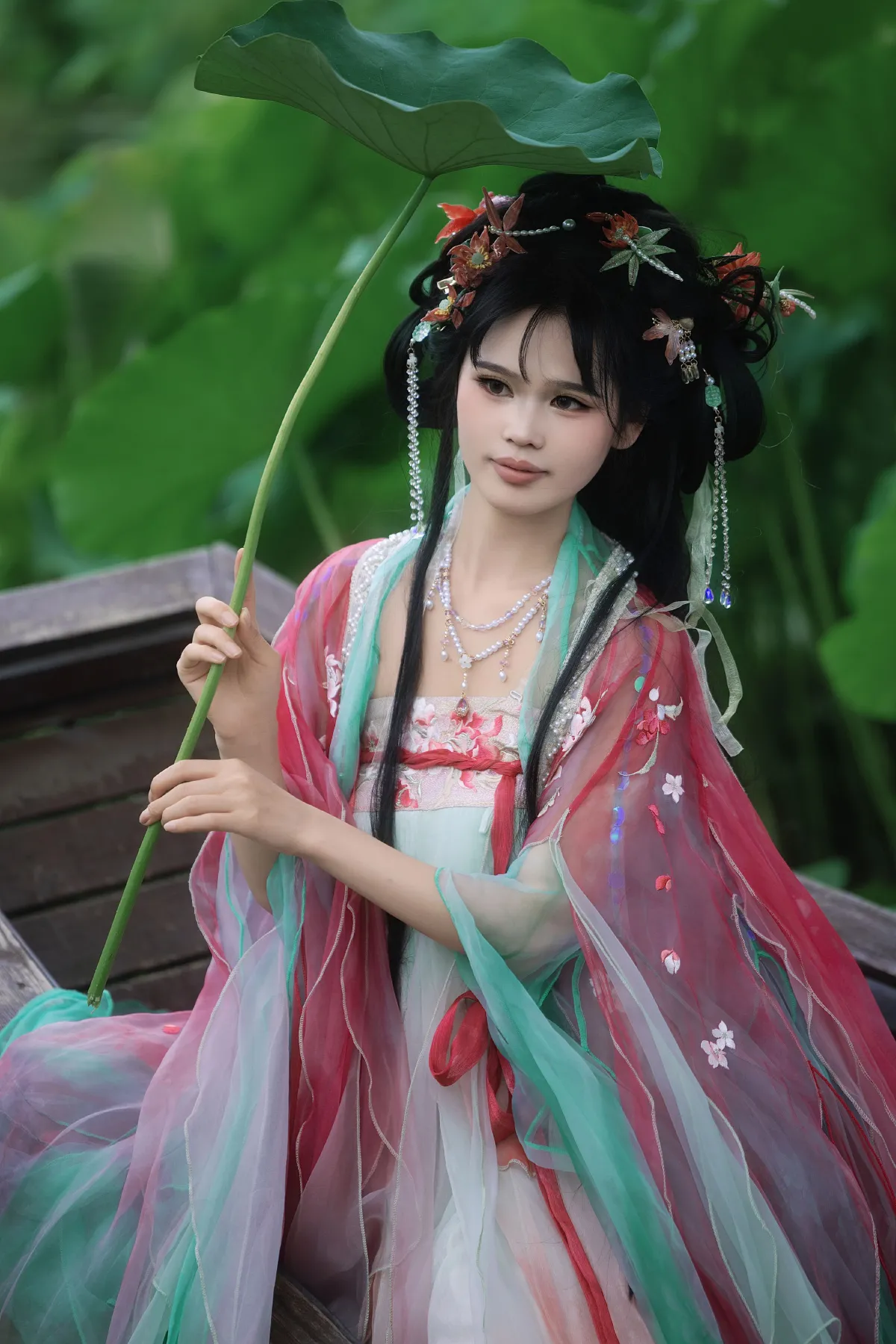 夏日荷花1