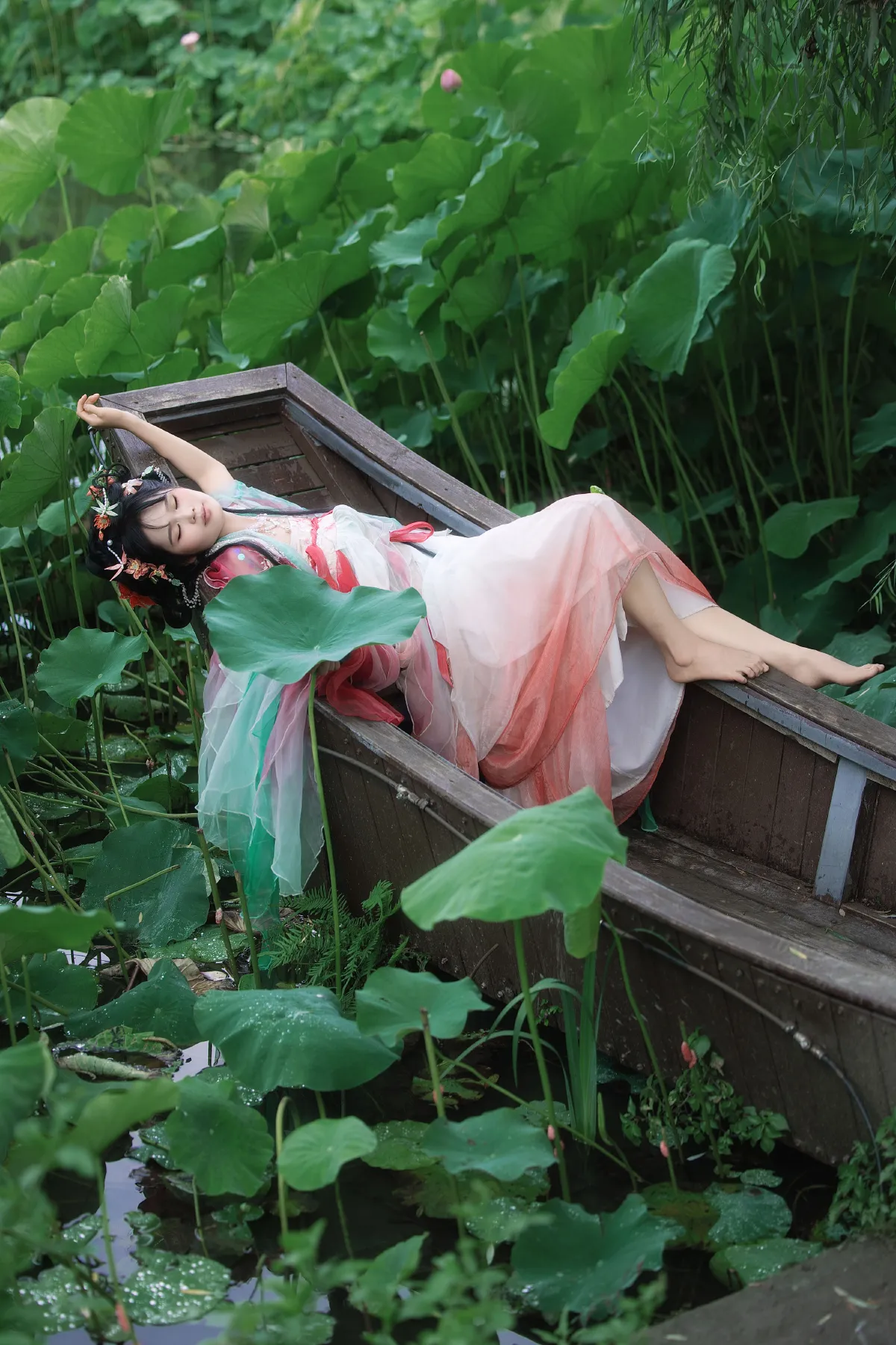 夏日荷花