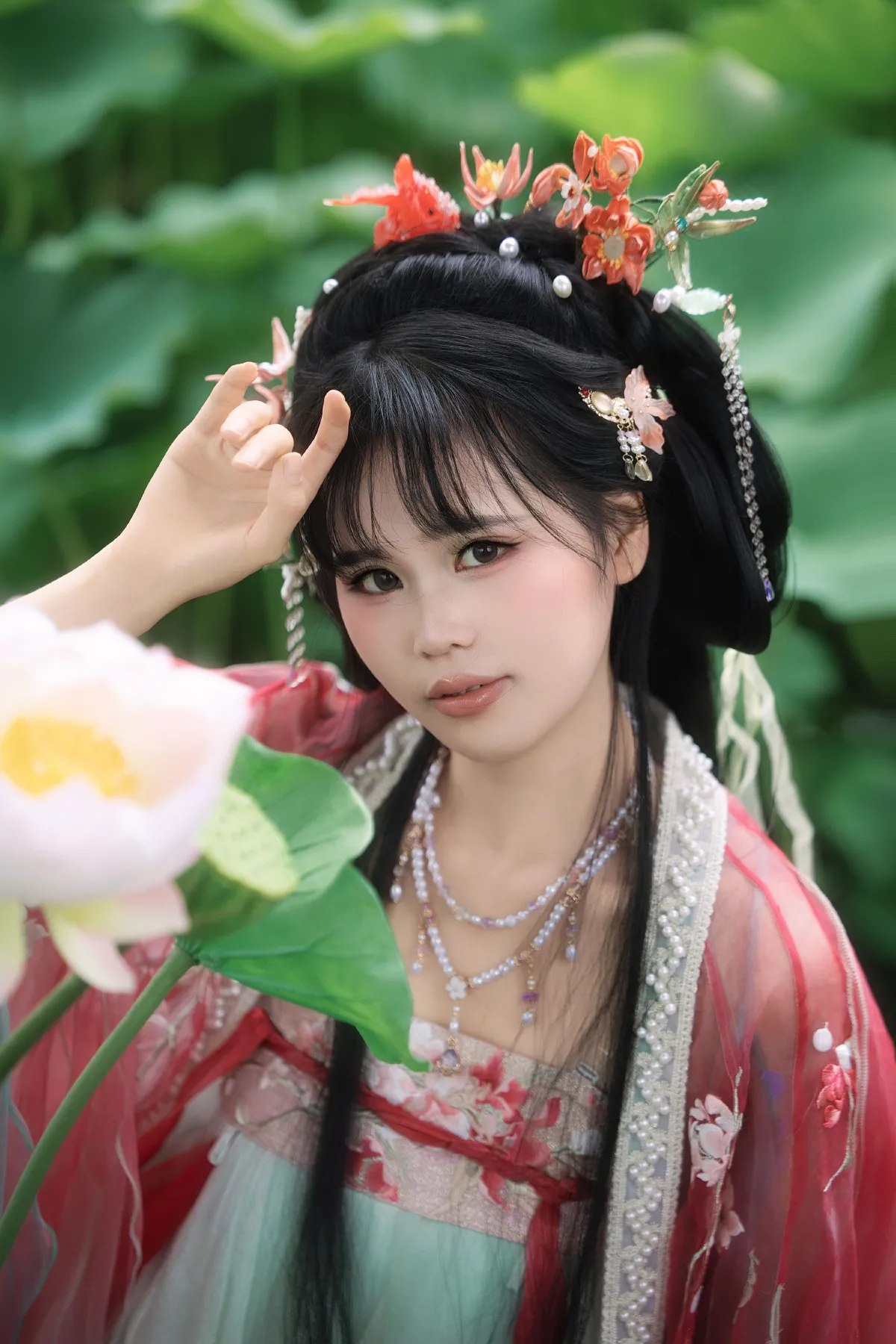 夏日荷花
