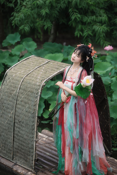 夏日荷花