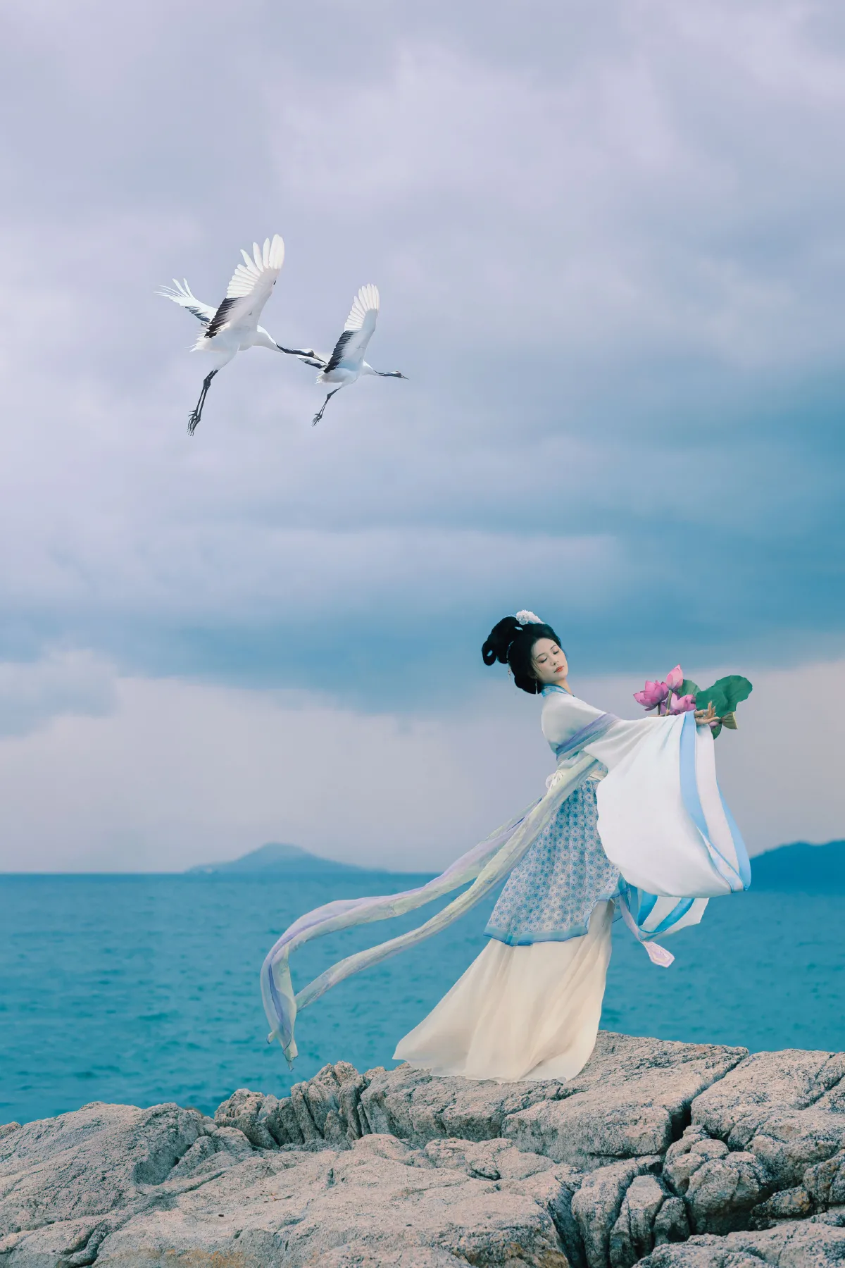 荷花仙子2