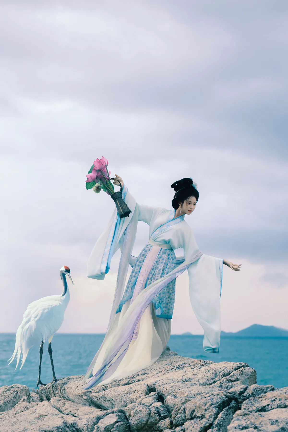 荷花仙子5