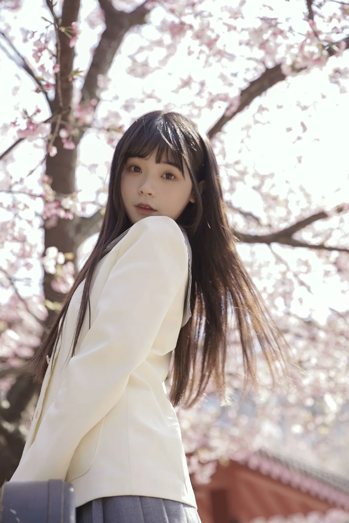 樱花下的少女1