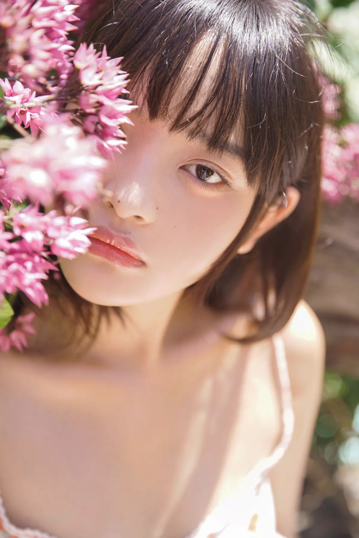 夏日 4