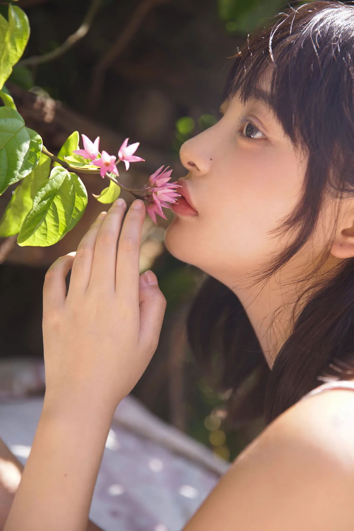 夏日 