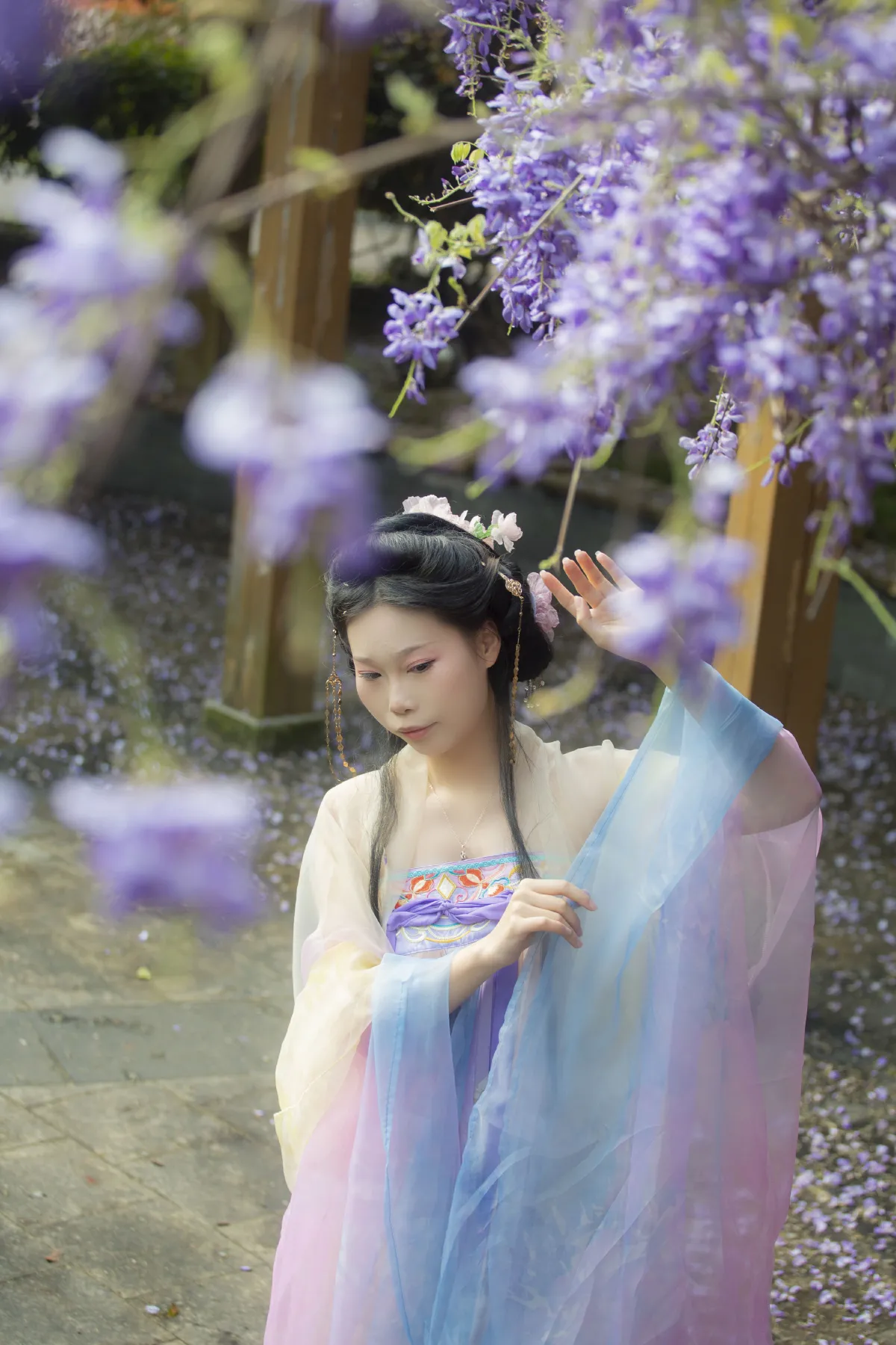 紫藤花