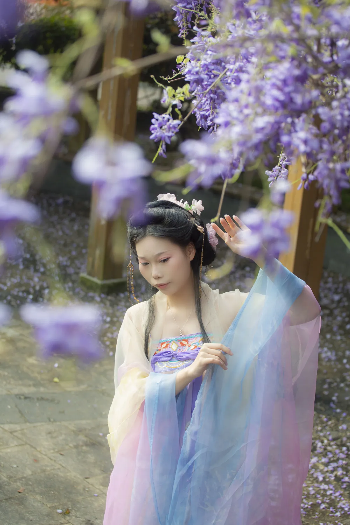 紫藤花1