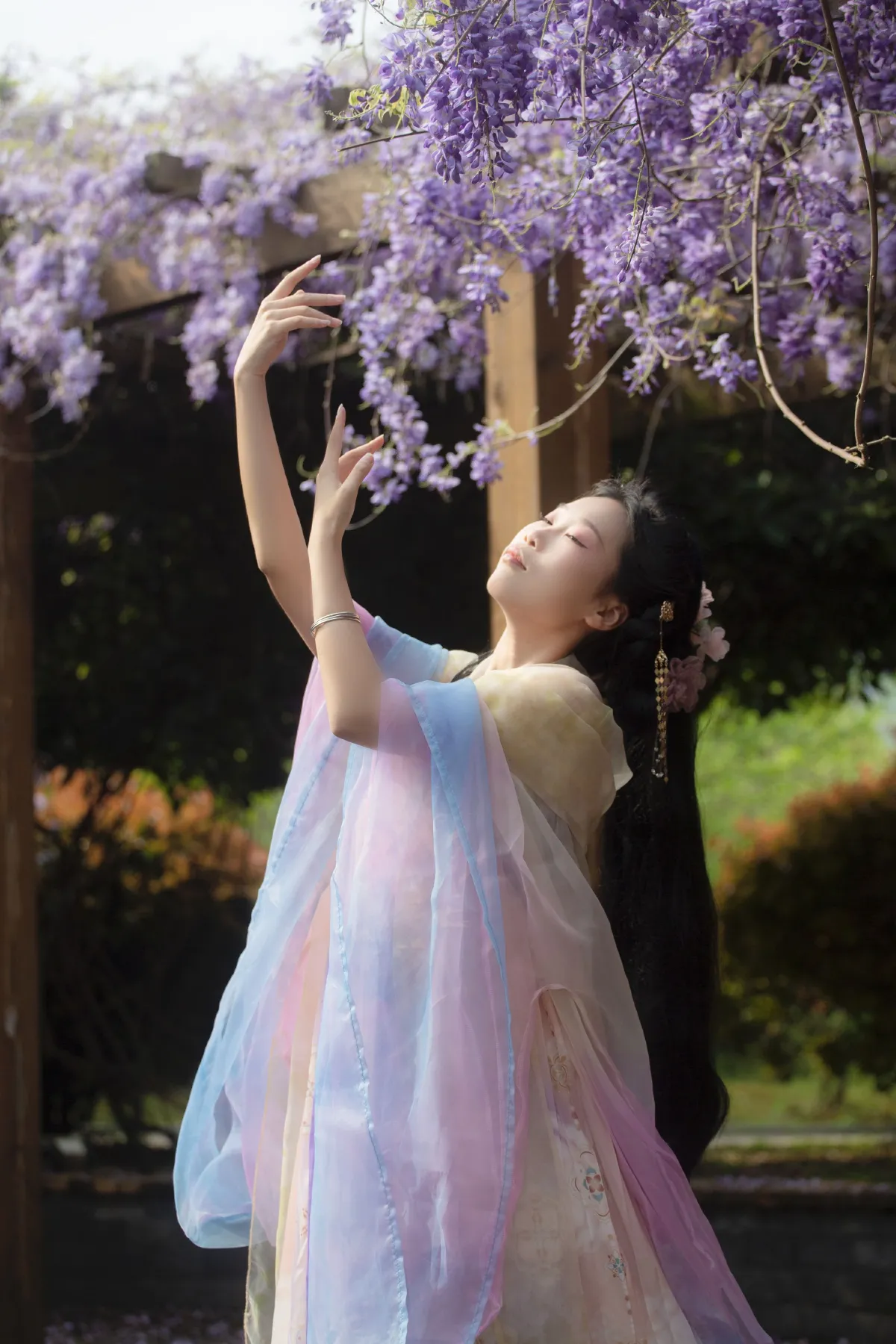 紫藤花2