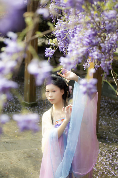 紫藤花