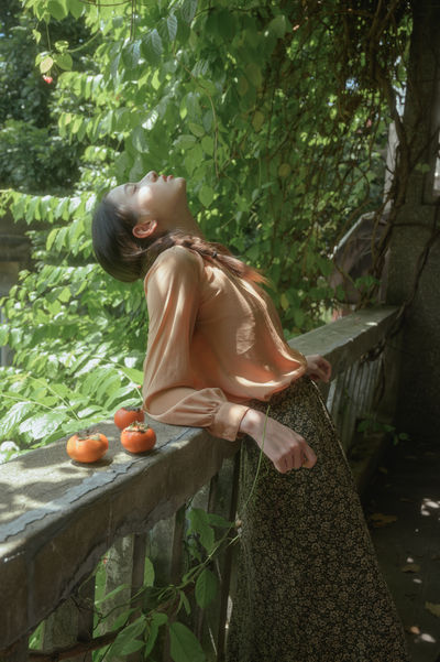 柿子