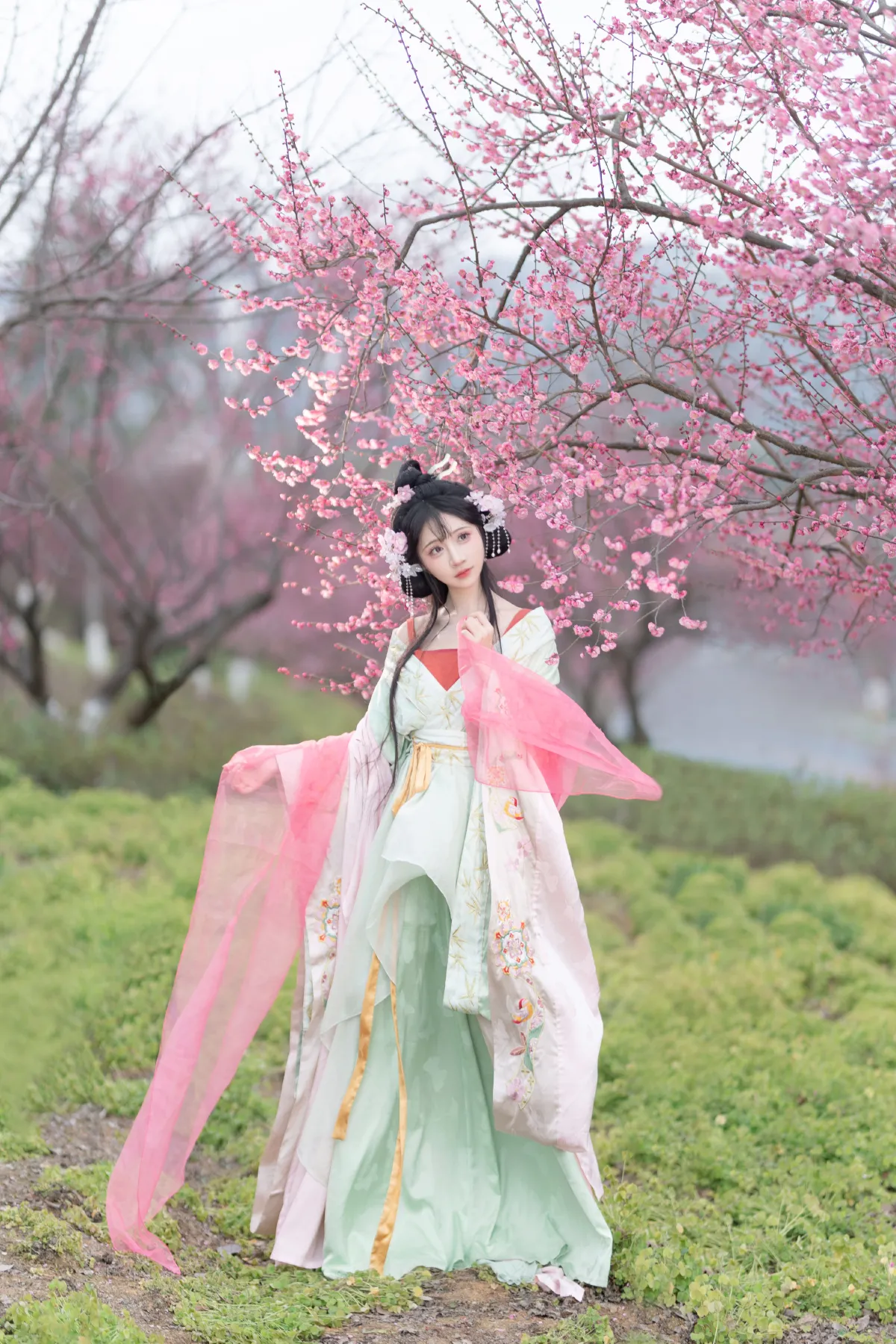 梅间诗笺2